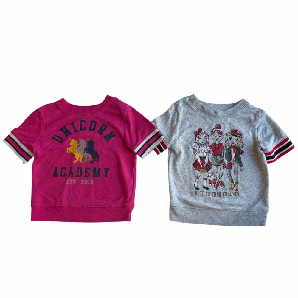 Bundle of 2 Pink and Gray Girls T-Shirts Size 2T